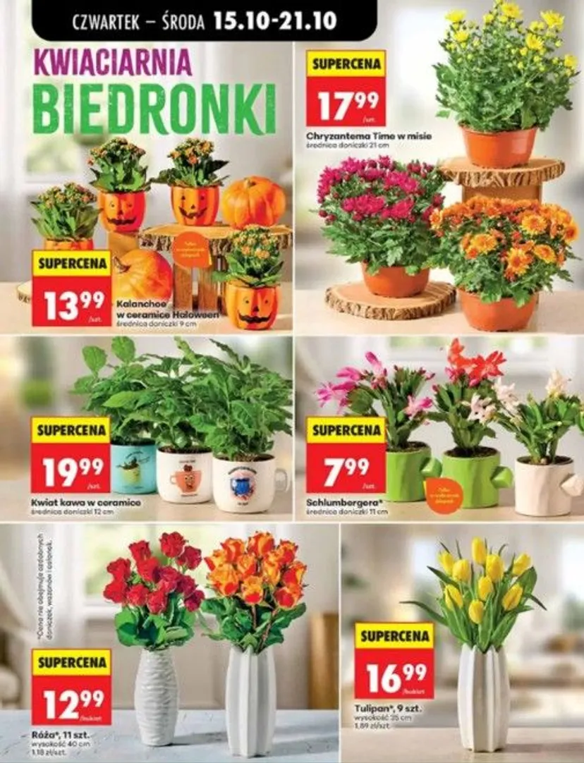 Nowe promocje w Biedronce na Wszystkich Świętych. Znicze już od 9,99 zł, promocje 4+4, a chryzantemy za symboliczne grosze