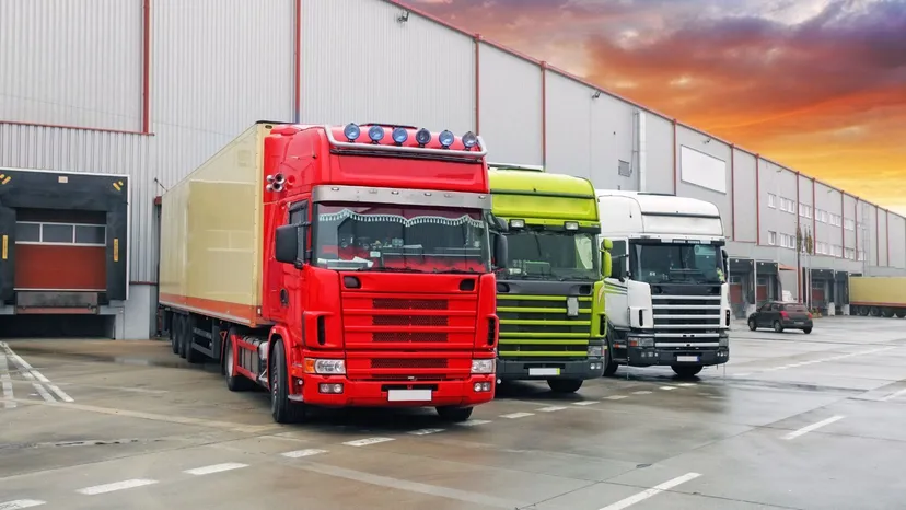 Transport z Azji zatrzymany w Polsce. To chcieli wwieźć do kraju, nie mogli dopuścić by weszło do obrotu