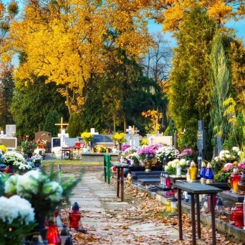 Podano pierwsze prognozy na Wszystkich Świętych. Pogoda 1 listopada może zaskoczyć