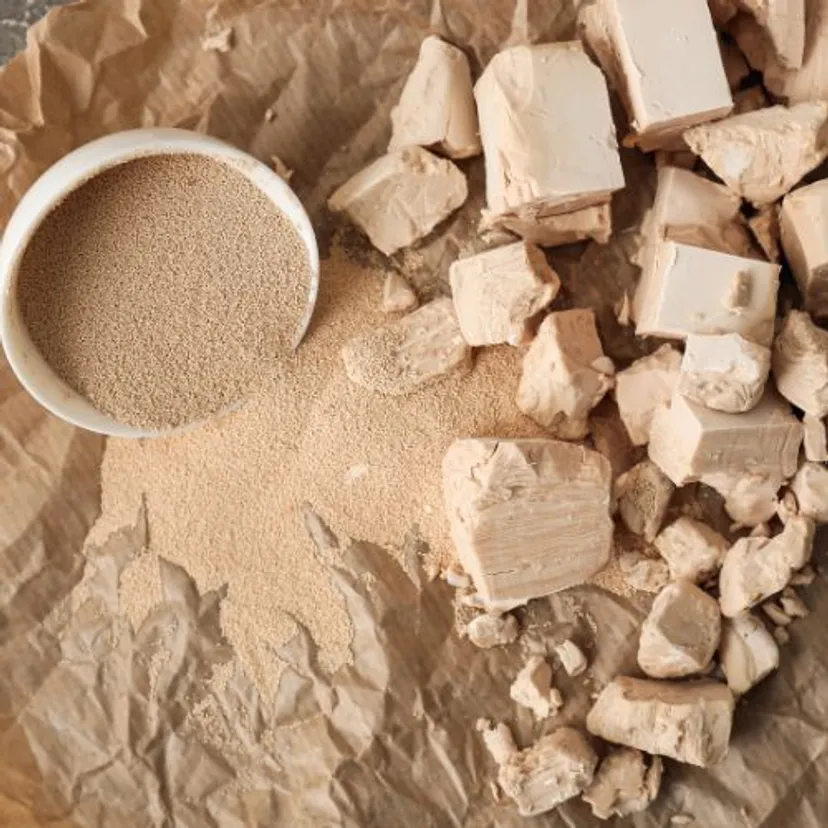 Wyjmij z kuchennej szafki i podlej gwiazdę betlejemską. Będzie kwitnąć całą zimę