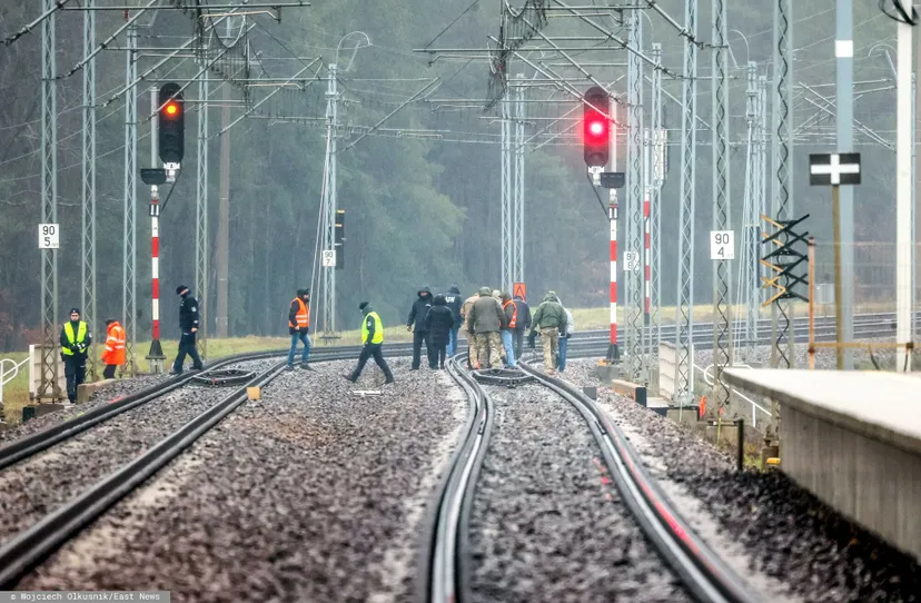 Rząd bada kolejny możliwy akt dywersji. Martwe zwierzę zarażone groźną chorobą