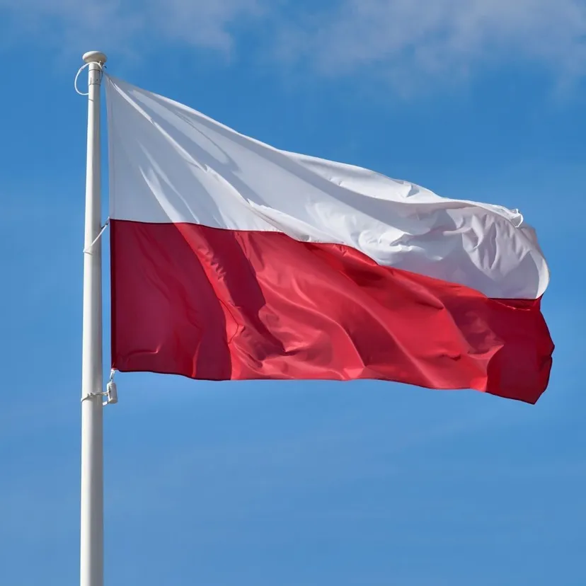 Konfederacja z KO czy prawicowy blok? Polacy wskazali, jaka koalicja będzie najlepsza dla Polski