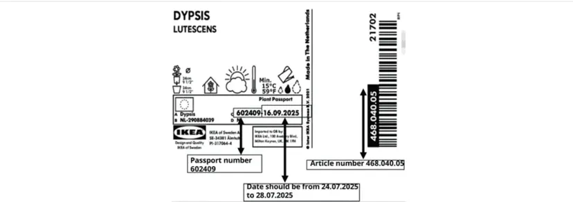 IKEA z pilnym komunikatem dla klientów. Nicienie w popularnym produkcie, sprzedaż w Polsce wstrzymana