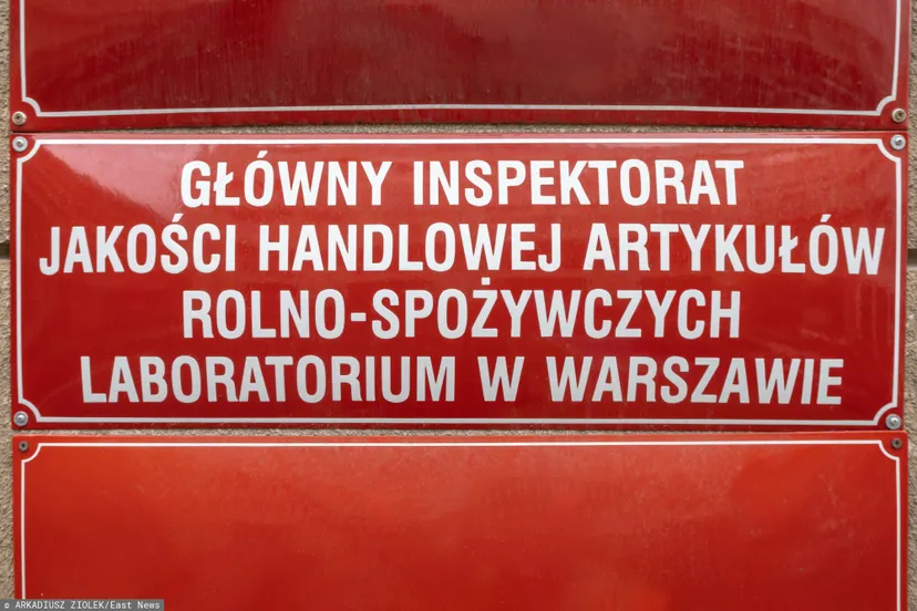 Zatrzymanie ciężarówki na granicy. 22 tony nasion skażone, interweniowała Straż Graniczna