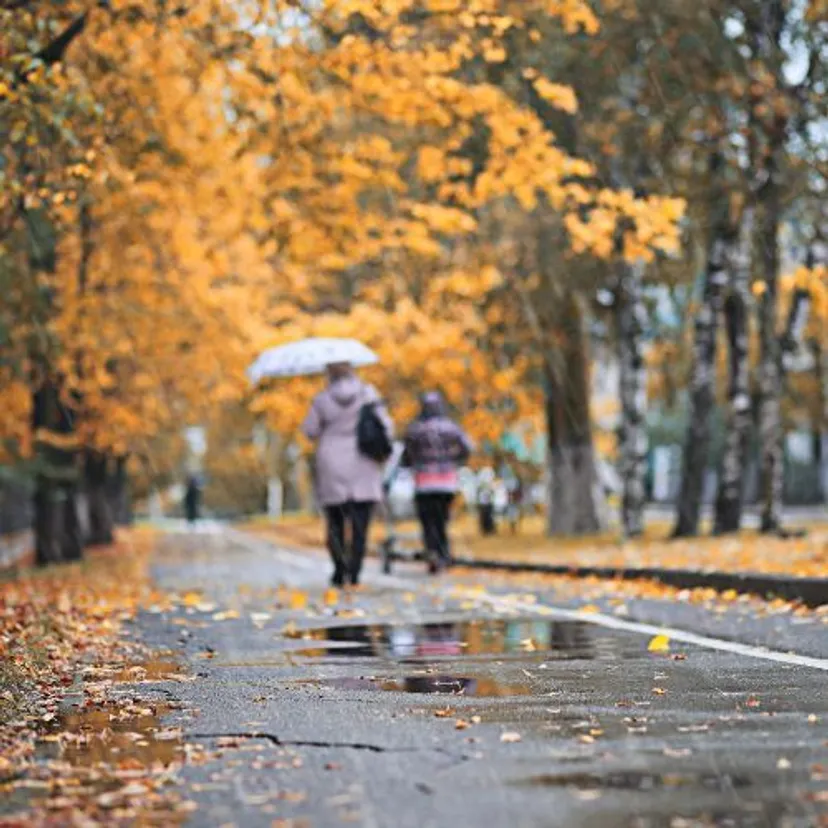 Gwałtowna zmiana pogody w Polsce. IMGW bije na alarm, w tych regionach będzie niebezpiecznie