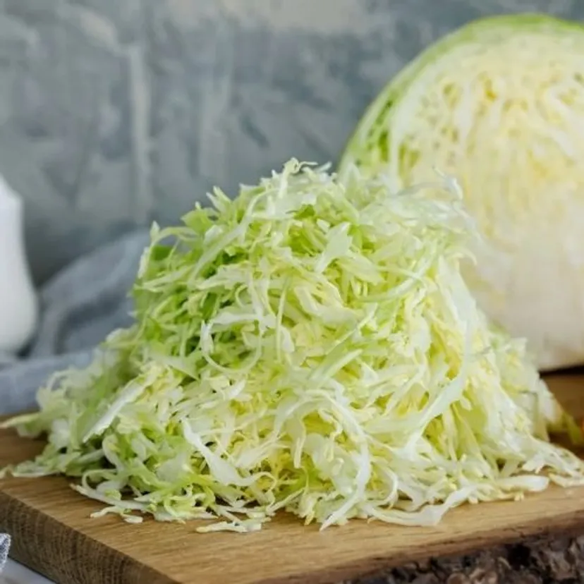 Pan Rafał zaprasza na samozbiór kapusty. 20 groszy za kilogram
