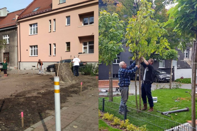 Odbetonować, zazielenić, powtórzyć. Polska zmienia swe oblicze, każdy może wziąć udział, są też dofinansowania