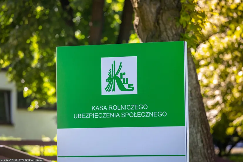 Pieniądze na rentę wdowią mogą zostać zwiększone. Dosypią tym seniorom