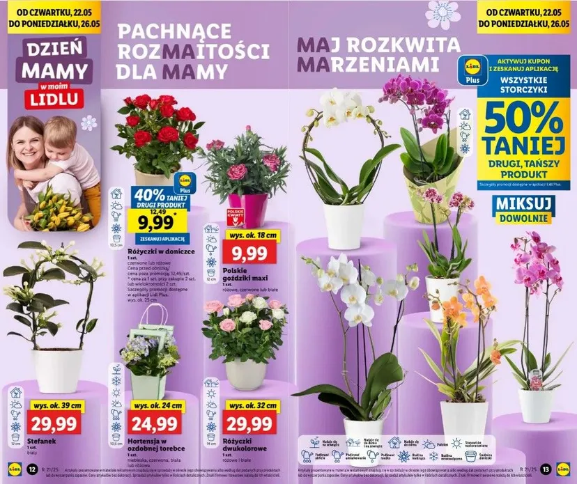Największe hity na Dzień Matki w Lidlu. 2+1 gratis, znajdziesz tu wszystko, by okazać miłość mamie