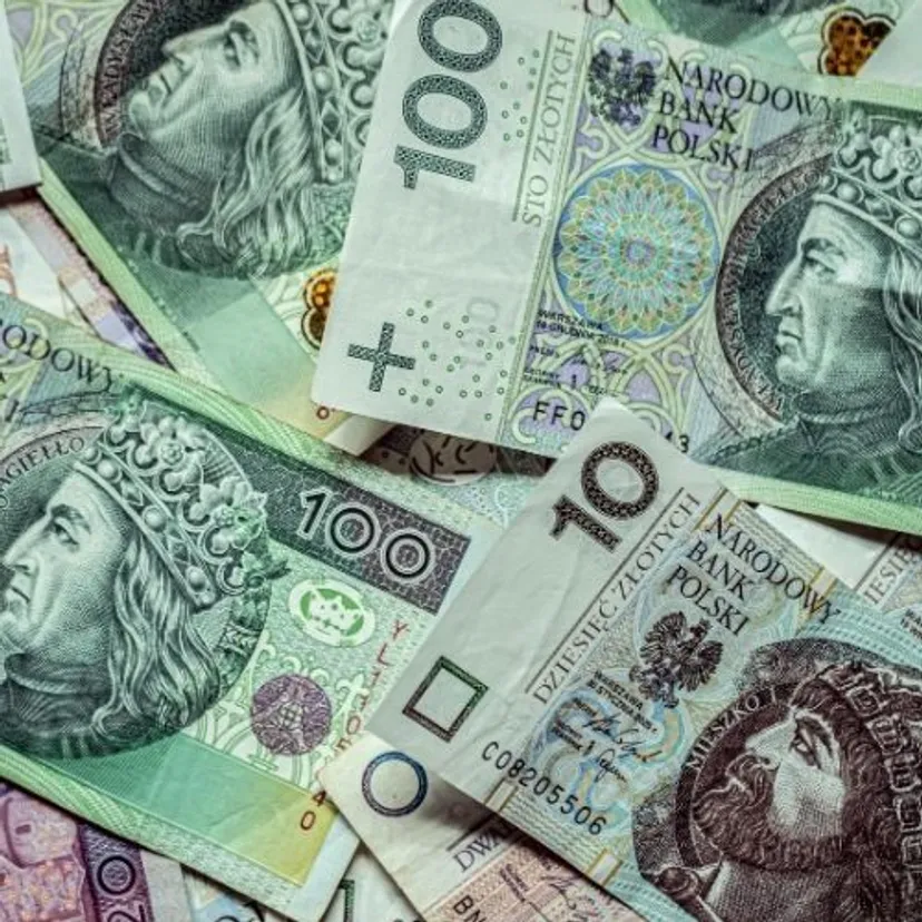Oświadczenie majątkowe Michała Kolodziejczaka. Udziały w spółkach i kredyt na koncie