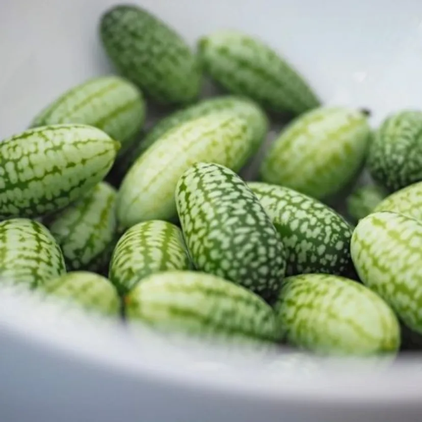 Mysi melon. Pyszna alternatywa dla surówki obiadowej