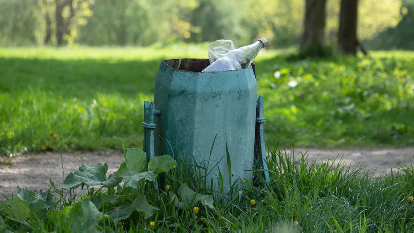 500 zł mandatu za wyrzucenie tego do miejskiego śmietnika. Wielu Polaków nie ma o tym pojęcia