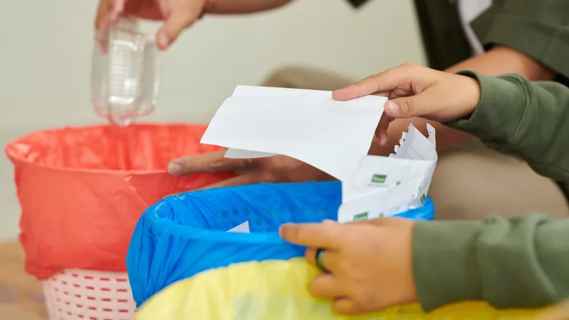 Polacy masowo wyrzucają je do śmieci. Zamiast tego włóż do doniczki, te rośliny ci podziękują