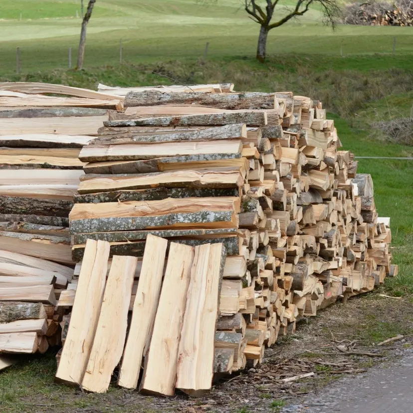 Tym drewnem nie wolno ogrzewać domu. Kara może sięgnąć 5 tys. zł