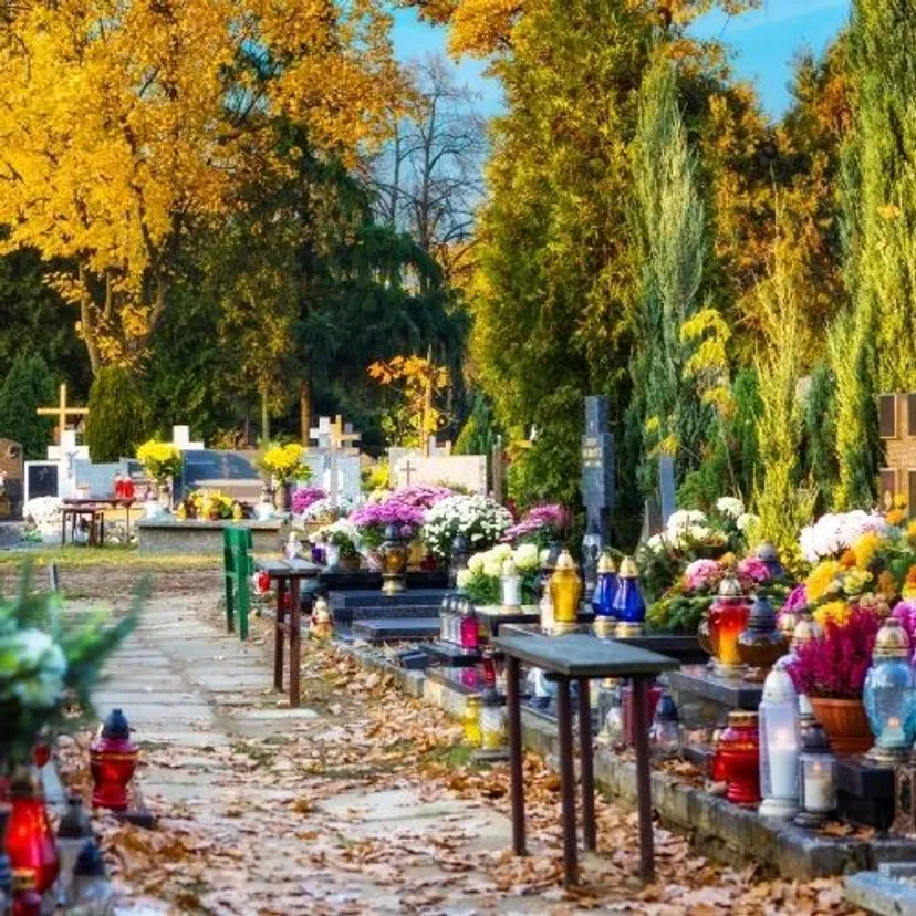 Będzie zmiana opłat na cmentarzach? Nowy komunikat ministerstwa