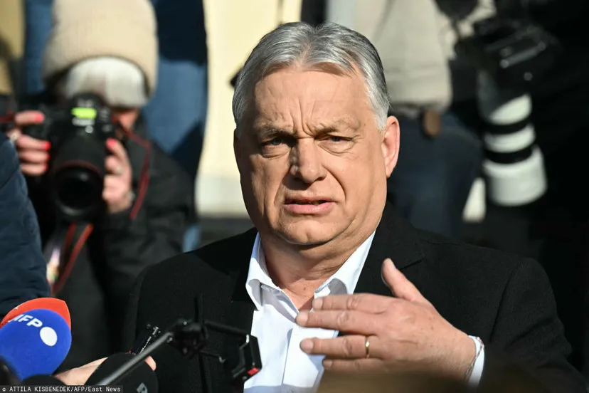 Ile kosztują zakupy na Węgrzech? Niejeden Polak mógłby przeżyć szok w supermarkecie