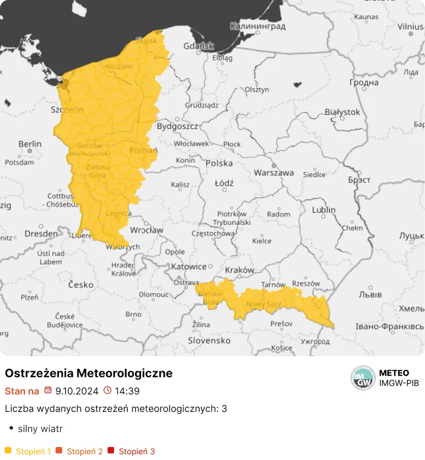 Nadciąga zima. Wiemy, kiedy i gdzie spadnie śnieg: prognoza IMGW