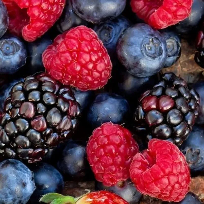 Sok na zimę bez cukru. Przedwojenny przepis