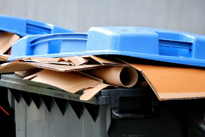 Nie zgniatasz kartonów przed wyrzuceniem? Nawet nie wiesz, jaka kara może cię czekać