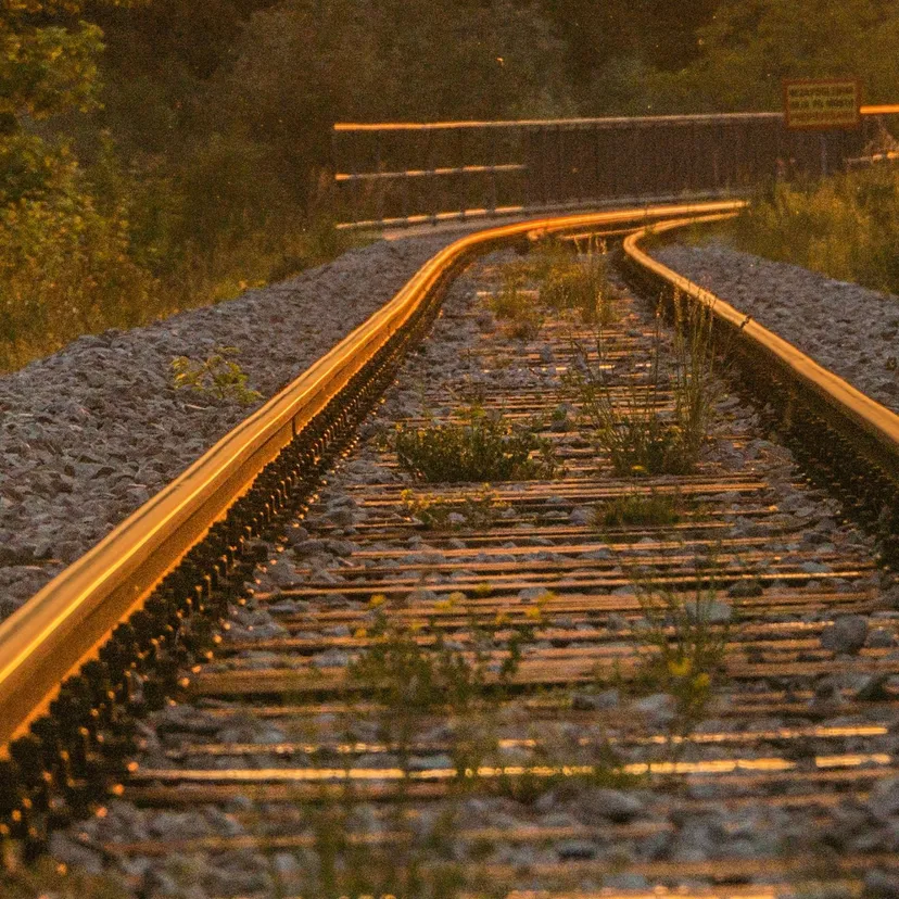 Upały paraliżują kolej. PKP Intercity odwołuje połączenia. Sprawdź, które pociągi nie pojadą