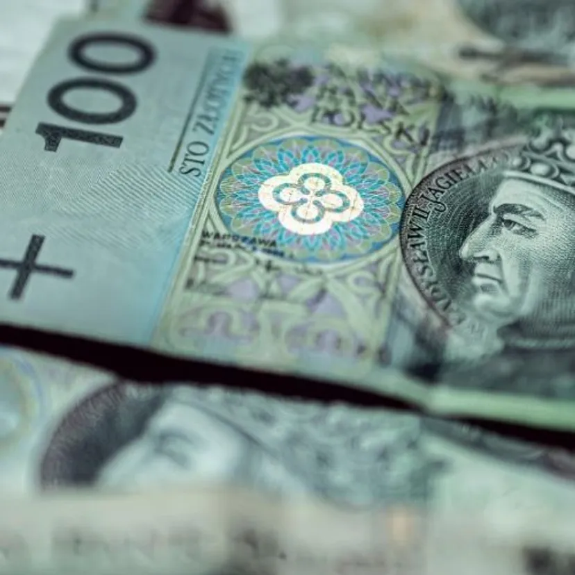 Fiskus rusza na łowy. Majątki tych Polaków weźmie pod lupę