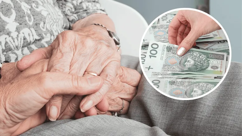 Seniorka, pieniądze, renta wdowia