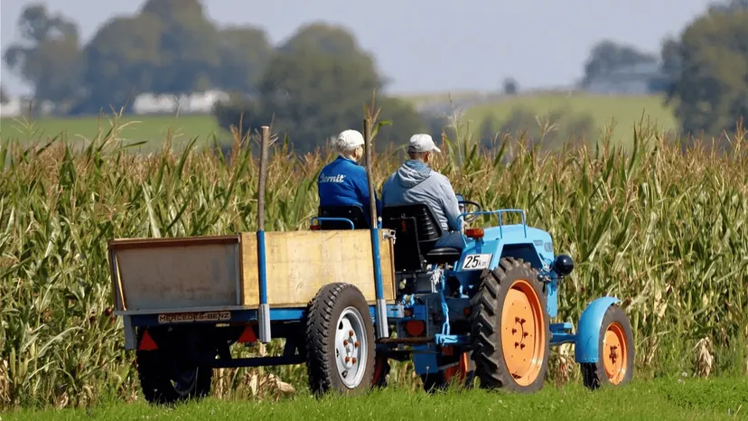 Europejczycy mogą odetchnąć z ulgą. Umowa z Mercosur wstrzymana