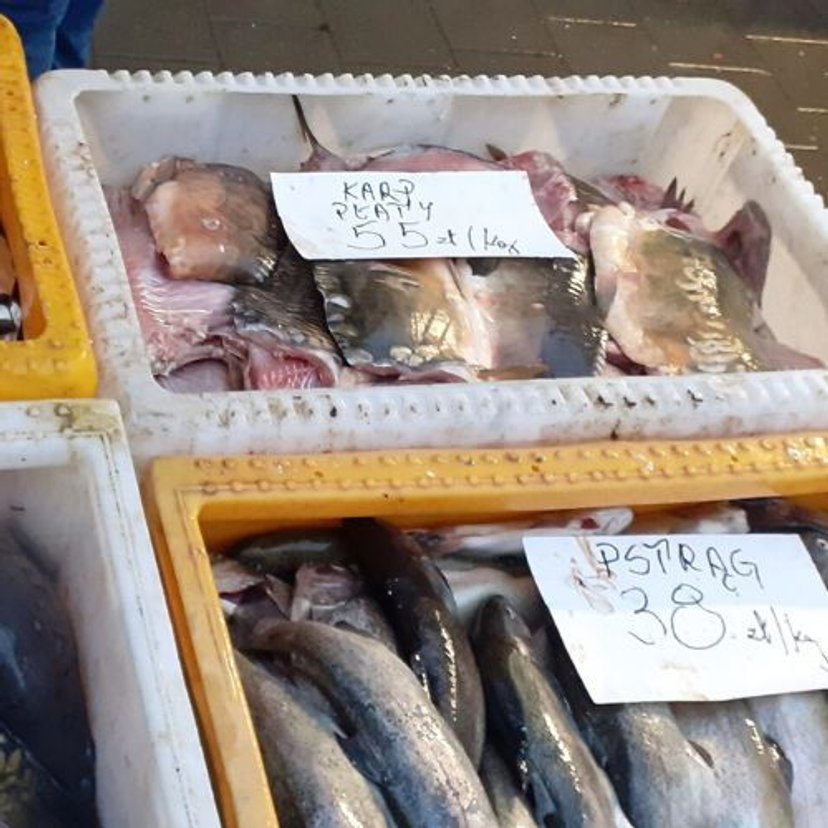Ile wydamy na ryby na Boże Narodzenie? Sprzedawcy uspokajają, ale klienci wiedzą swoje