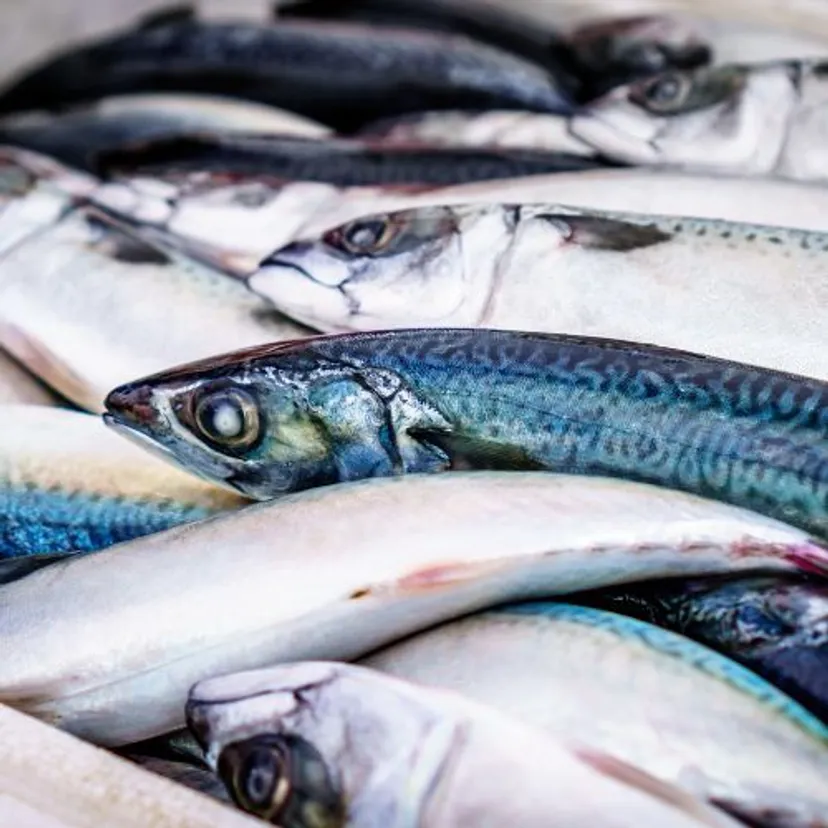 Najlepsze źródło Omega-3. Polacy jedzą na kilogramy i nawet nie wiedzą