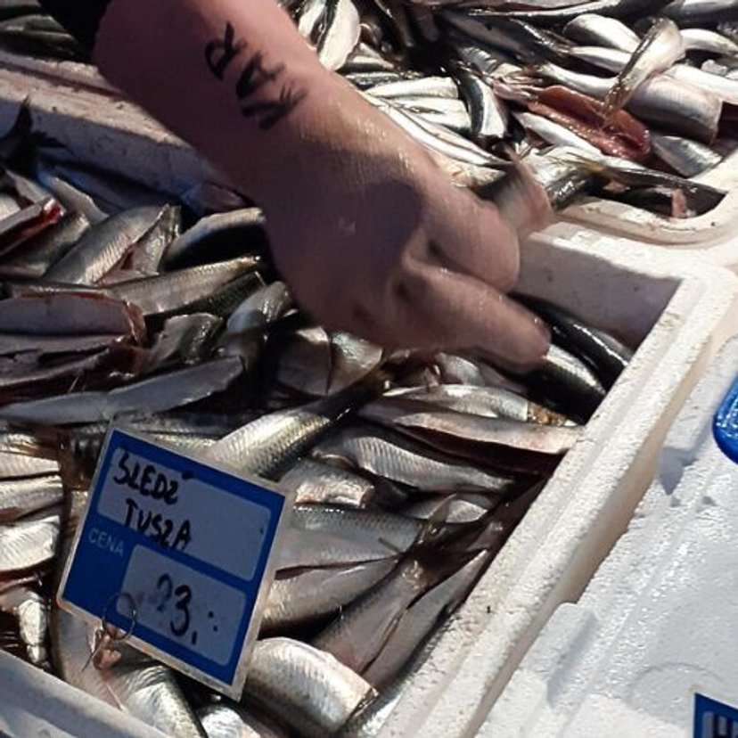 Ile wydamy na ryby na Boże Narodzenie? Sprzedawcy uspokajają, ale klienci wiedzą swoje