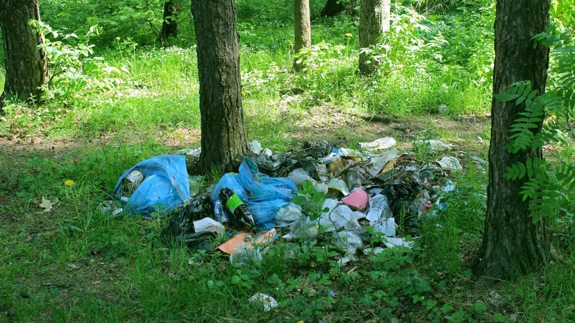 Za bałagan w ogródku grozi kara nawet do 1500 zł. Wystarczy skarga sąsiada