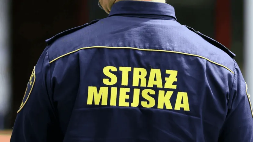 Wchodzą do domu i sprawdzają jedną rzecz. Nowy typ kontroli już działa, kary sięgają 5000 zł