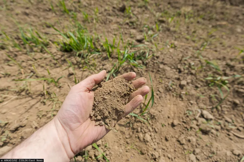 Amerykańscy meteorolodzy ostrzegają. Nadchodzi pogodowy kryzys, Polacy muszą być gotowi