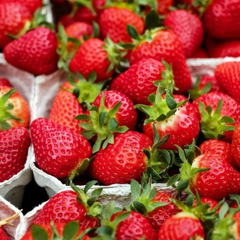 Uważaj na oszustów podczas zakupu truskawek. Tak rozpoznasz polskie od importowanych