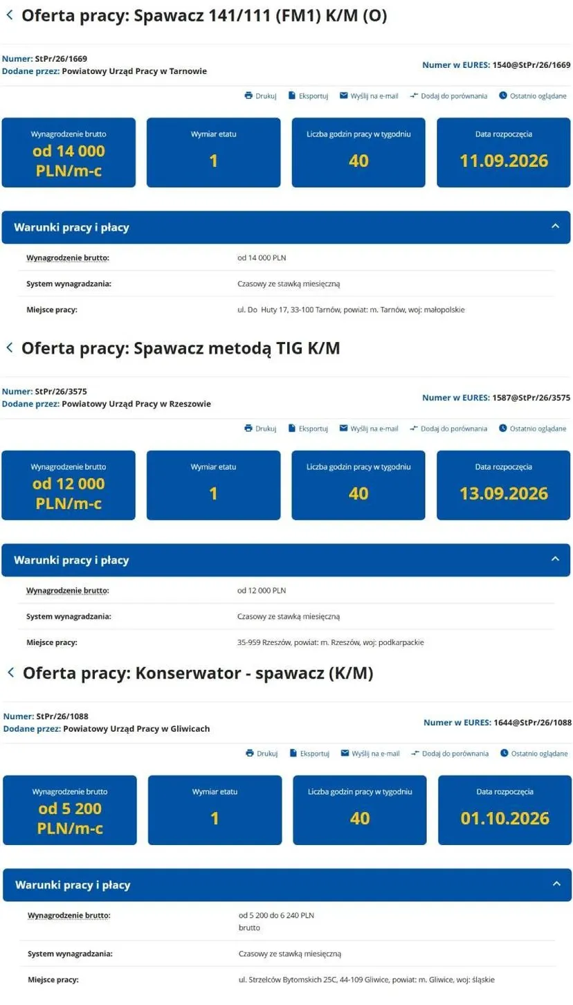 Ten zawód pozostaje deficytowy. Oferty pracy pokazują, gdzie można zarobić więcej