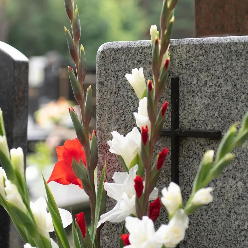 Nawet 800 zł za znicze na Wszystkich Świętych. Sprawdziliśmy, Ile kosztują zakupy przed 1 listopada
