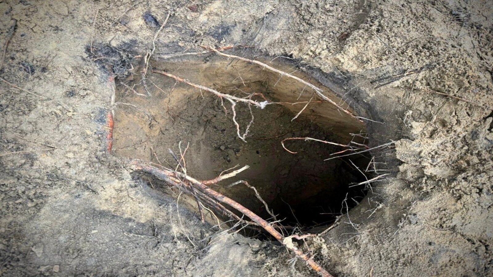 Wstrząsające, co znaleziono na granicy. Maczali w tym palce białoruscy pogranicznicy