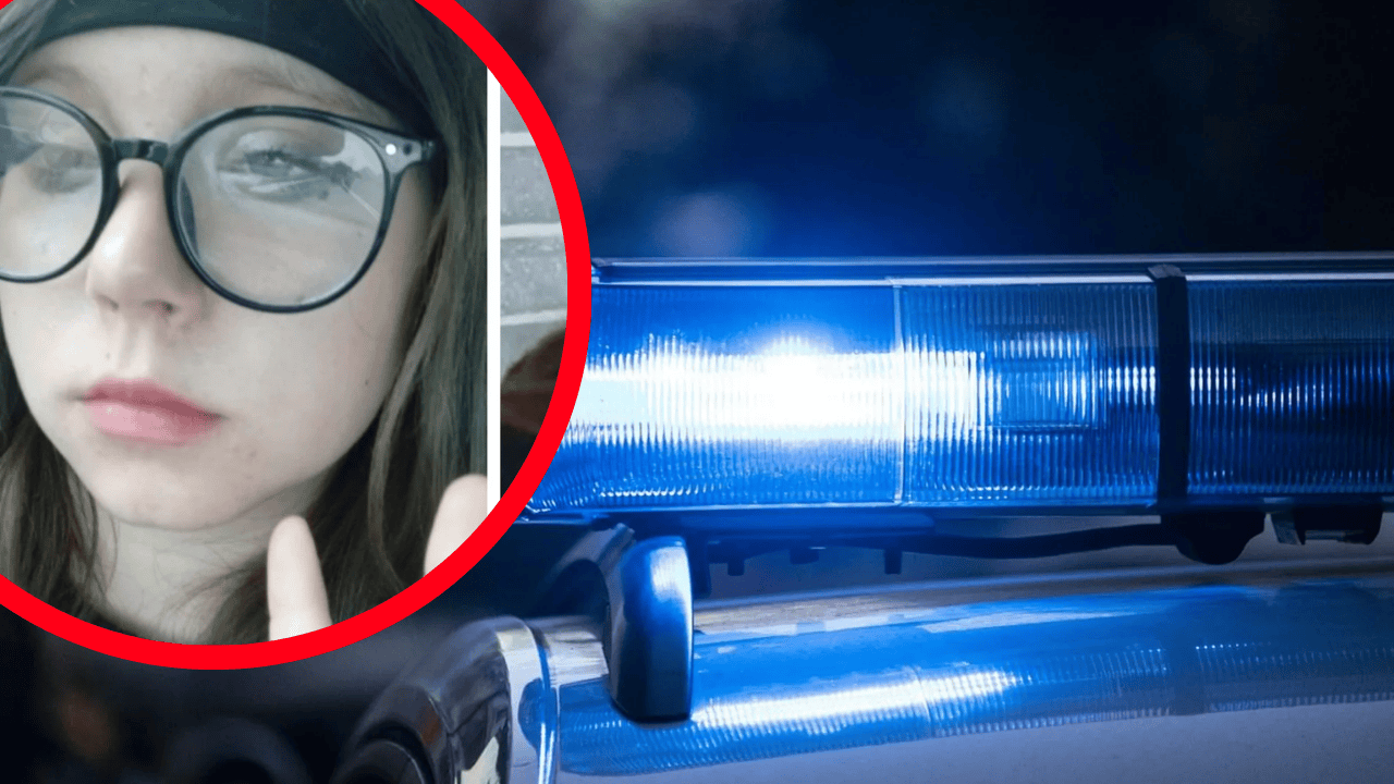 policja