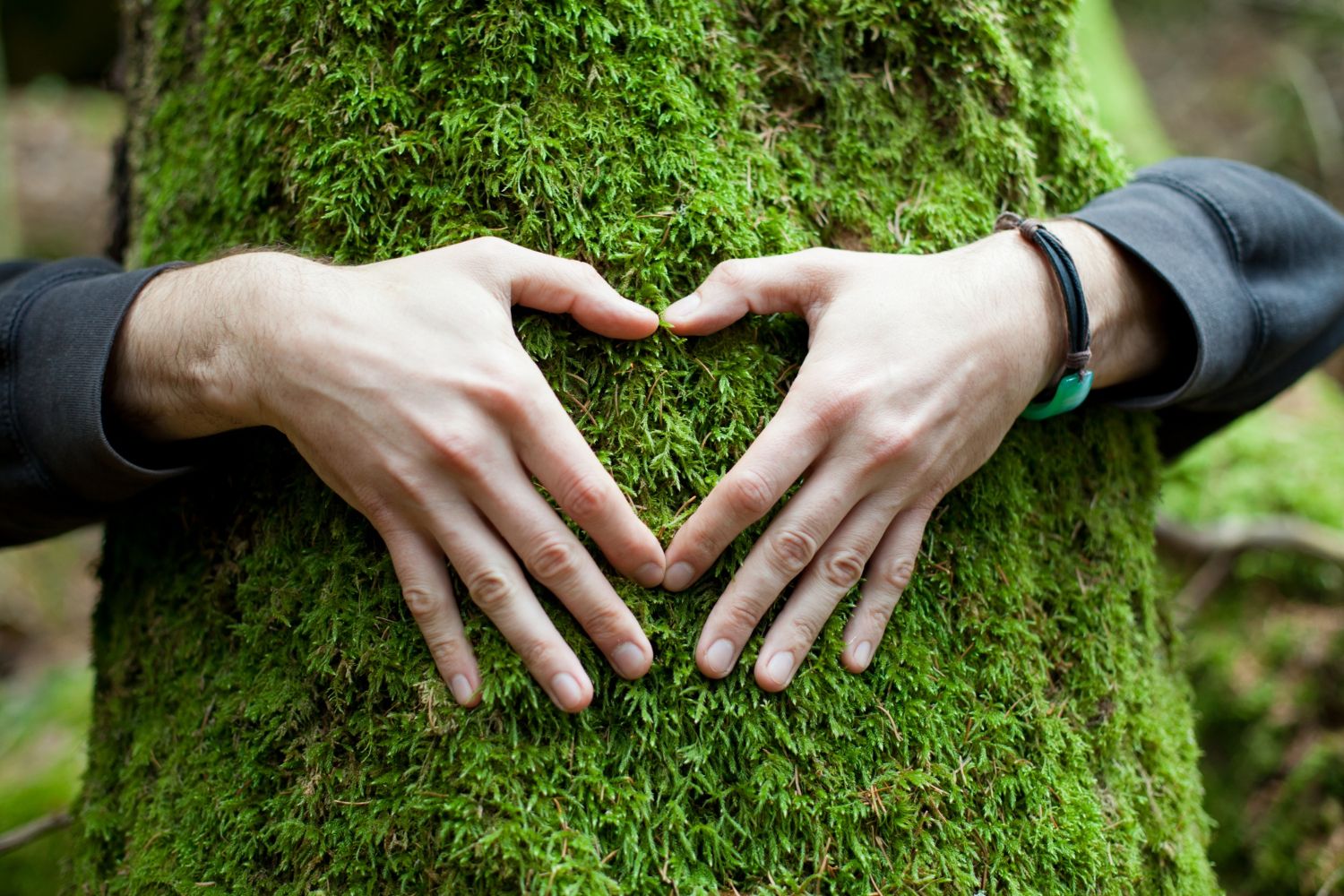 ręce w kształcie serca na drzewie, ekologia
