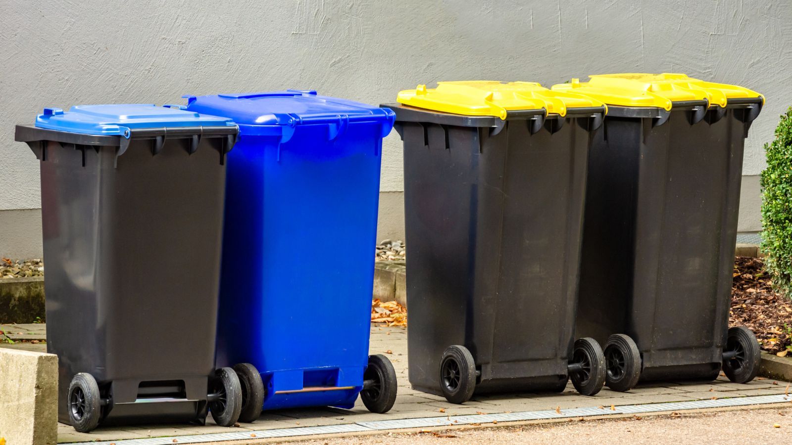 Seniorzy nie muszą płacić za śmieci. Wystarczy ta jedna decyzja i opłaty znikną