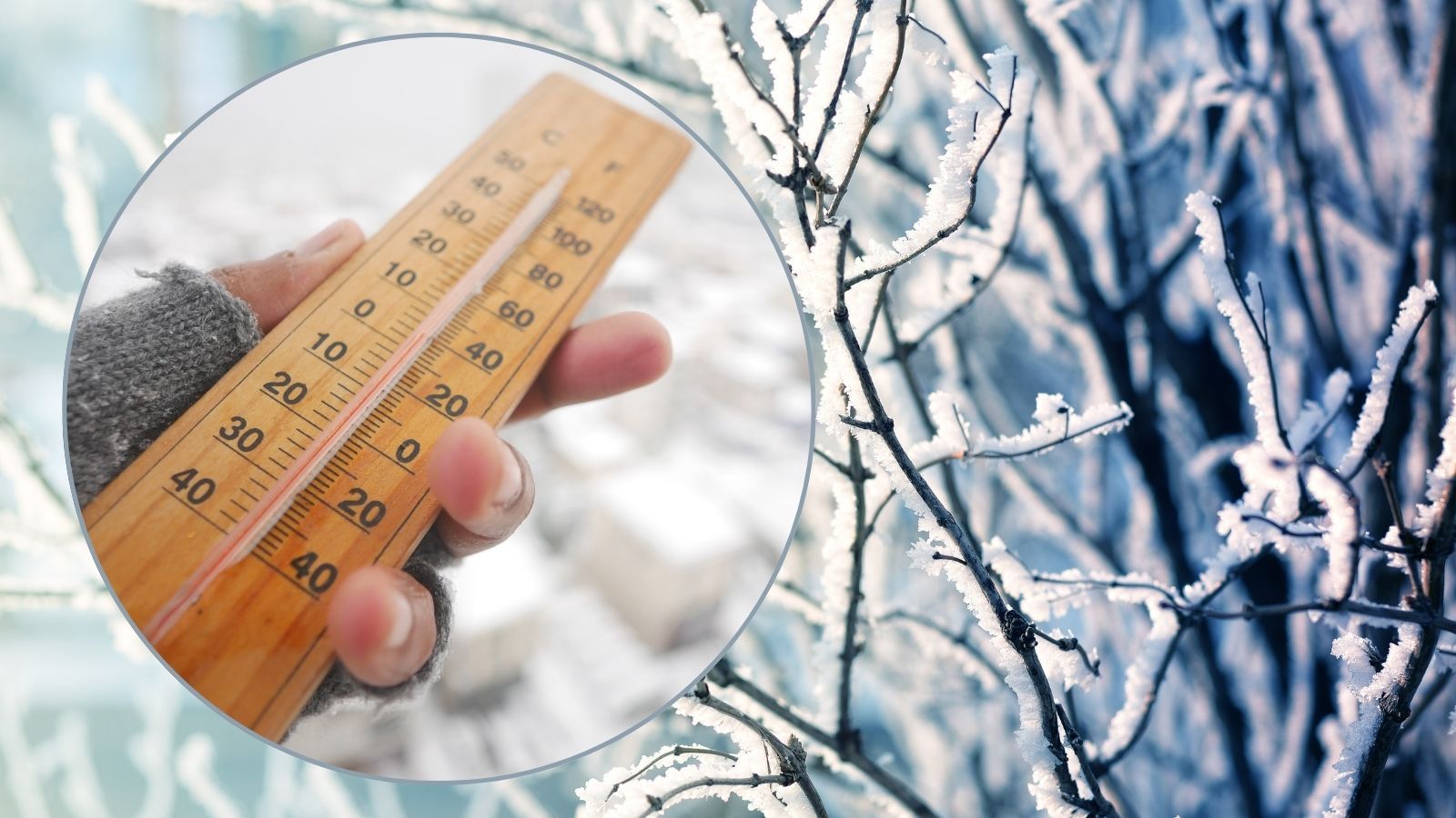 Termometr, mróz