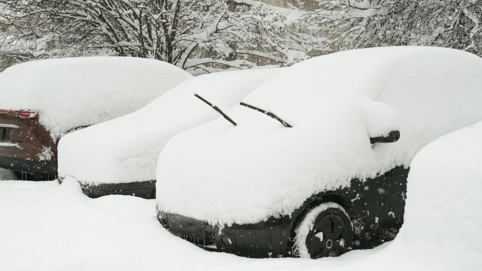 "Zrób zapasy żywności, wody i zatankuj". Ambasada ostrzega Polaków