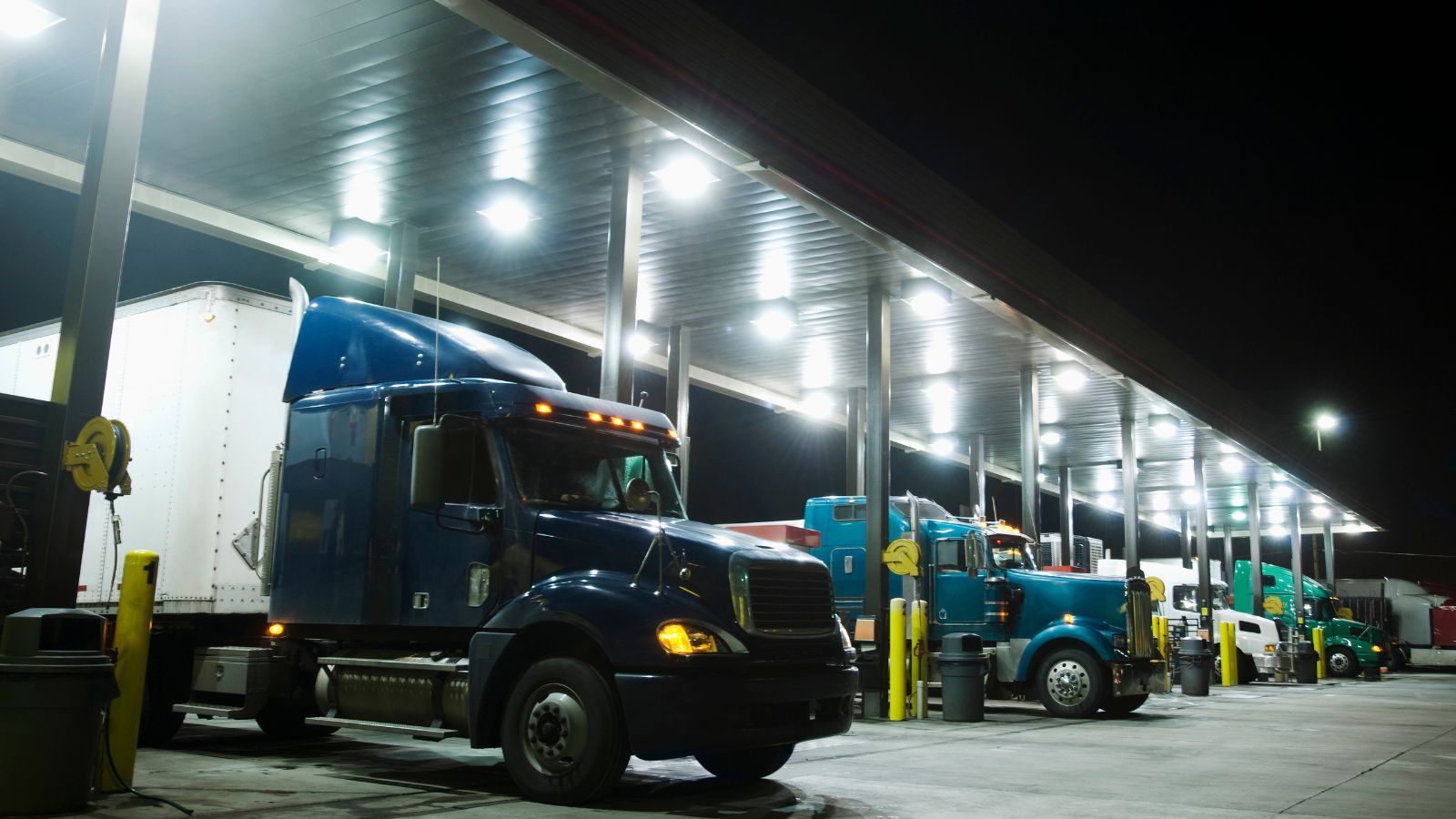 Żywe szkodniki i spleśniała żywność to dopiero początek. To próbowali wwieźć do Polski, służby ujawniają