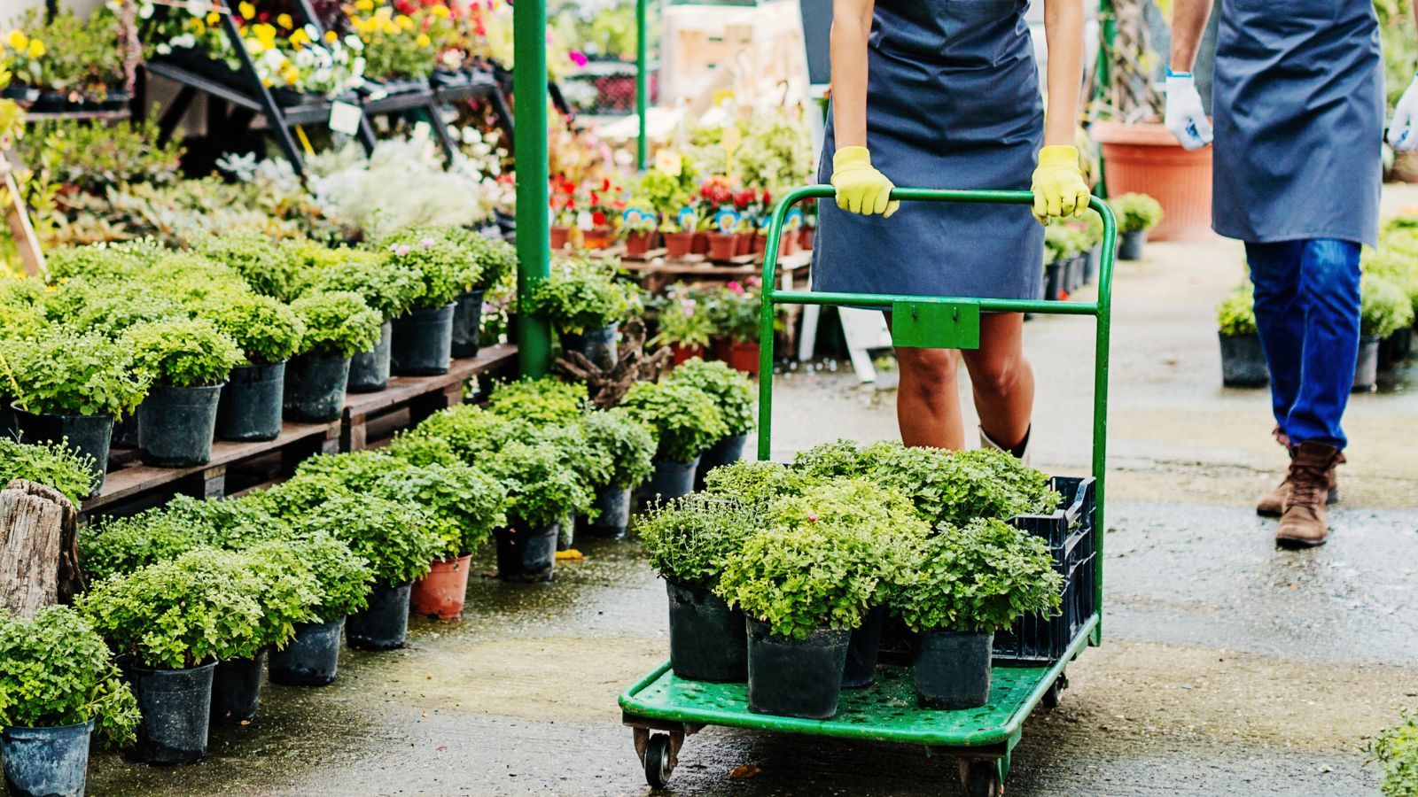 UE wprowadza zakaz. Wielkie zmiany w sklepach, Polacy nie znajdą ich więcej do kupienia