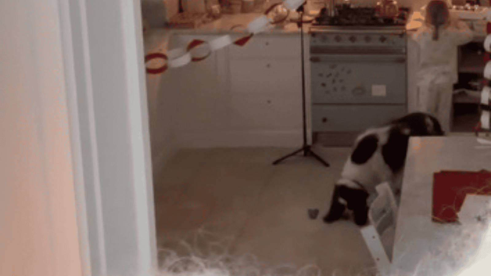 Kasia Tusk wystroiła dom na święta. Pokazała zdjęcia