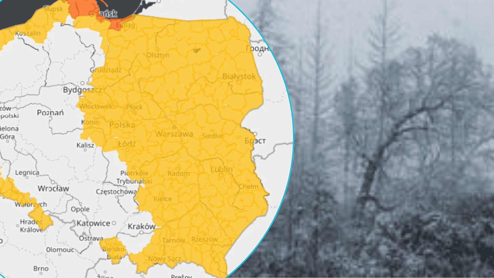 Wichury, zawieje i zamiecie. IMGW ostrzega przed kolejnymi niebezpiecznymi zjawiskami