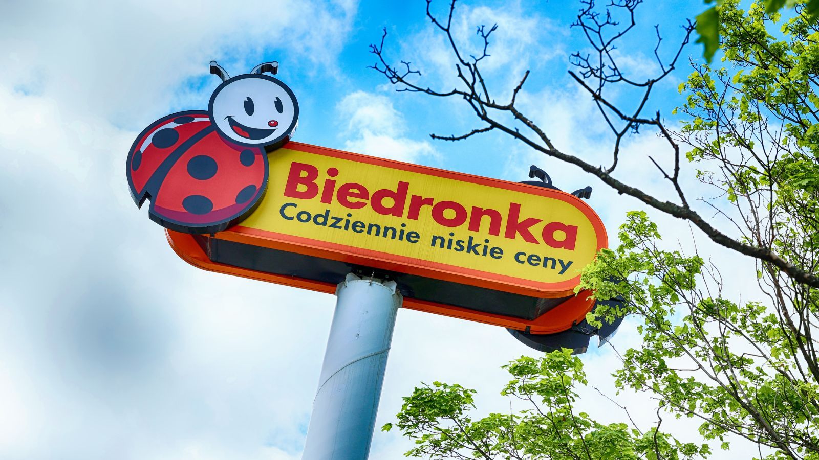 Biedronka (zdj. ilustracyjne)