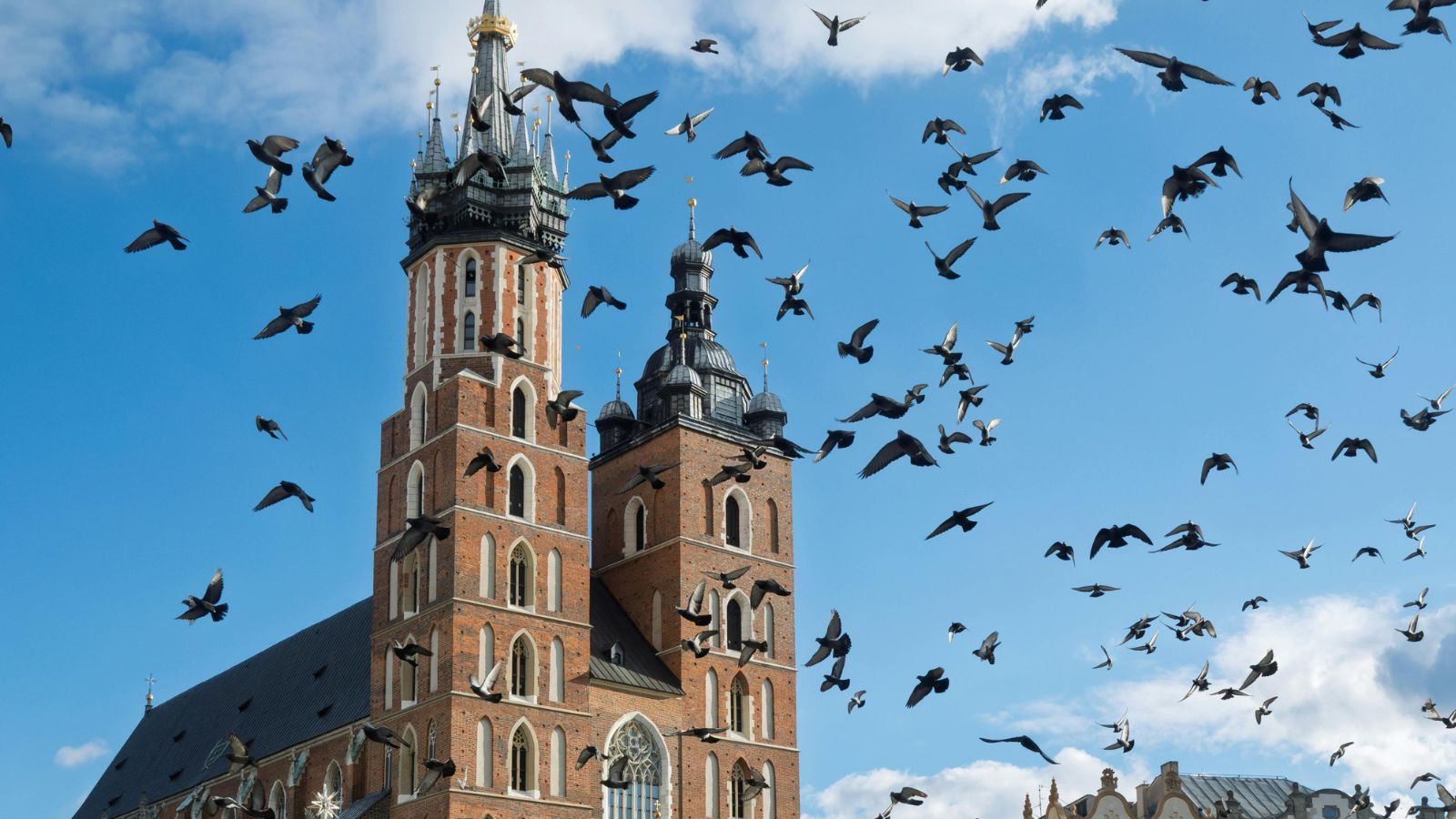 Kraków