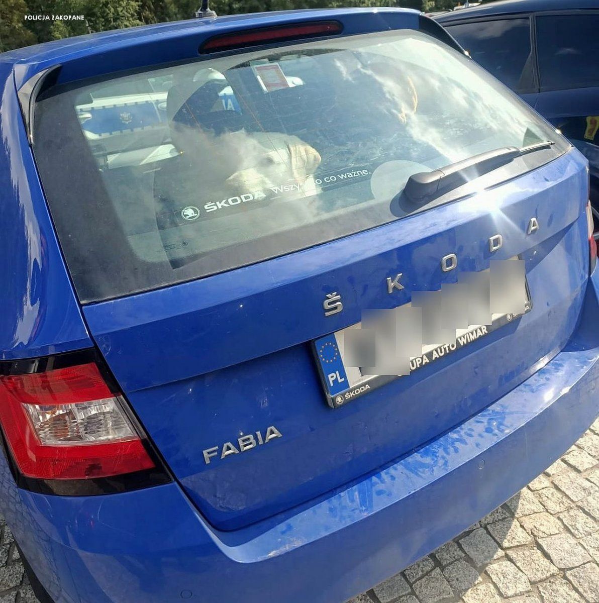 Pies zostawiony w samochodzie na Palenicy, fot. KPP w Zakopanem
