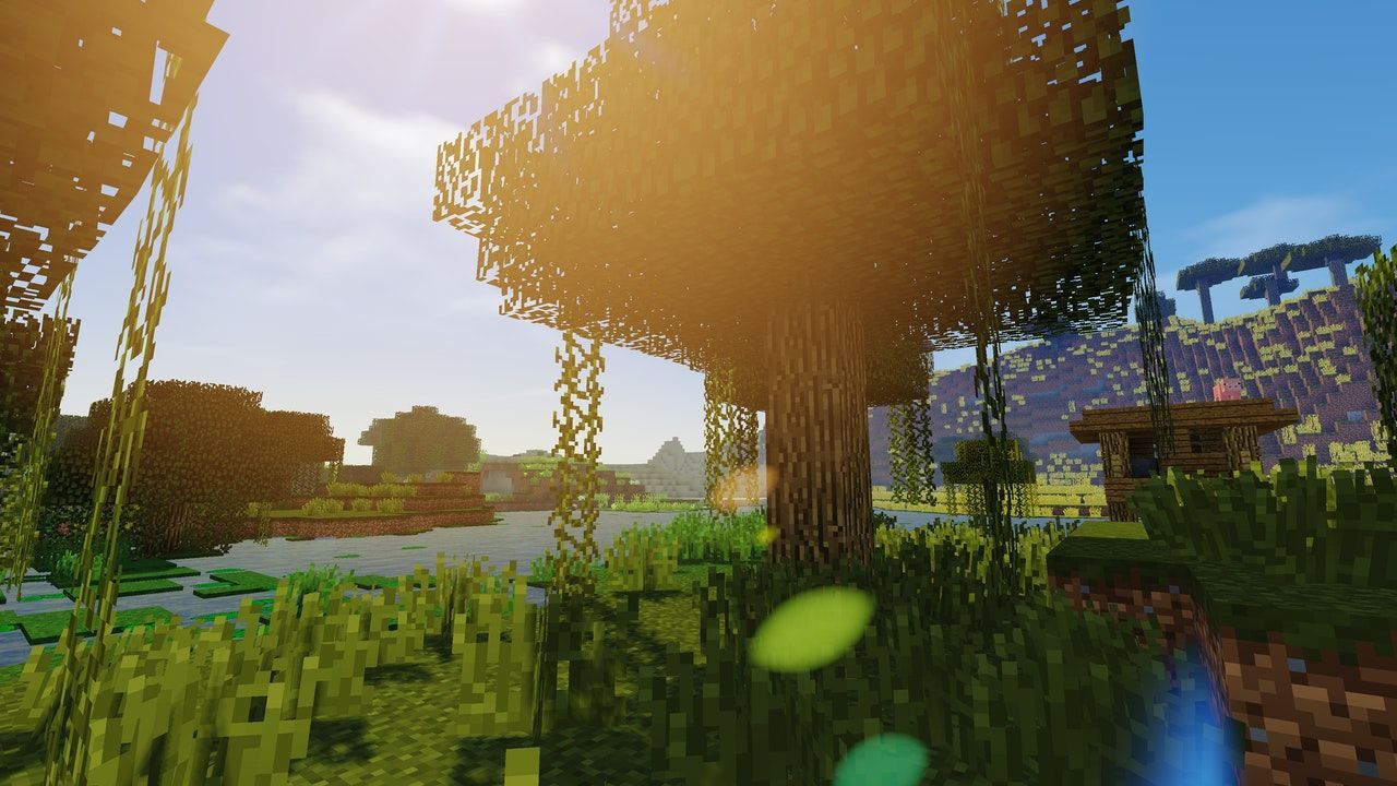 Screen z gry Minecraft. Drzewo, trawa, woda, niebo, słońce.